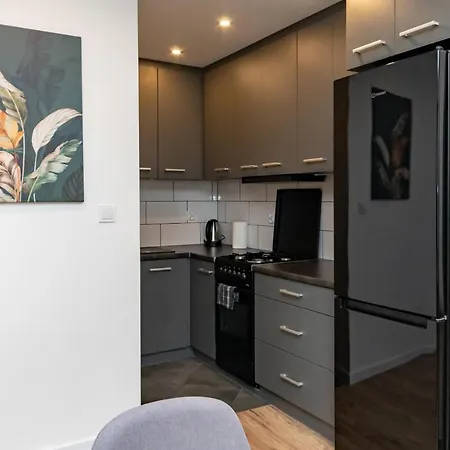 Apartment Chalubinskiego Przytulne Mieszkanie Przy Parku, Blisko Dworca Radom