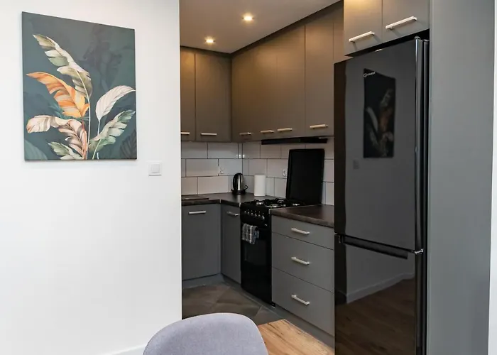 Appartamento Chalubinskiego Przytulne Mieszkanie Przy Parku, Blisko Dworca Radom